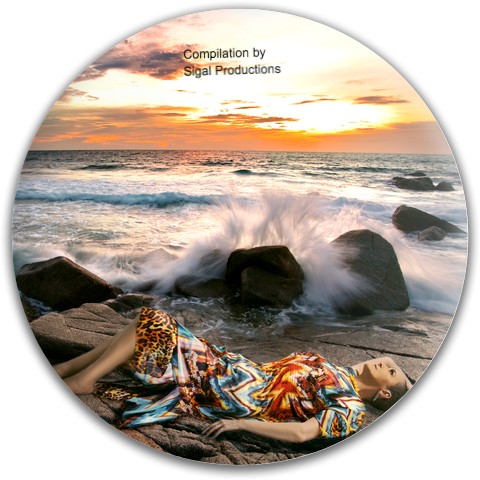 Design 400865 Disc Golf and Ultimate Discs
