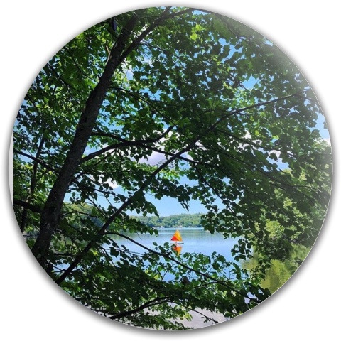 Design 400951 Disc Golf and Ultimate Discs