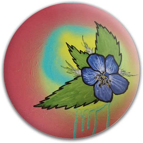 Design 405674 Disc Golf and Ultimate Discs
