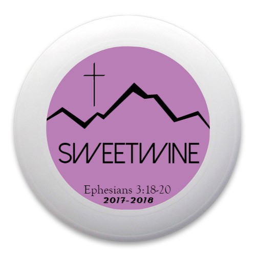 Design 407082 Disc Golf and Ultimate Discs
