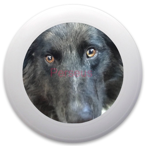 Design 407556 Disc Golf and Ultimate Discs