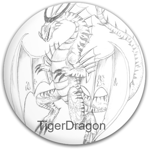 Design 408855 Disc Golf and Ultimate Discs