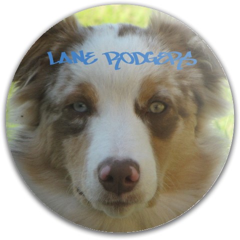 Design 410071 Disc Golf and Ultimate Discs