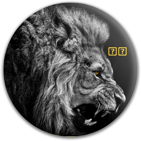 Design 412050 Disc Golf and Ultimate Discs