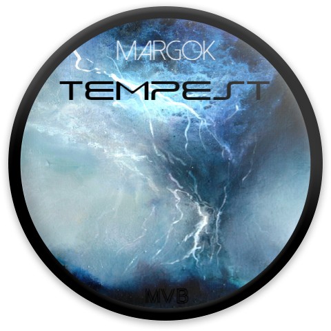 Design 412119 Disc Golf and Ultimate Discs
