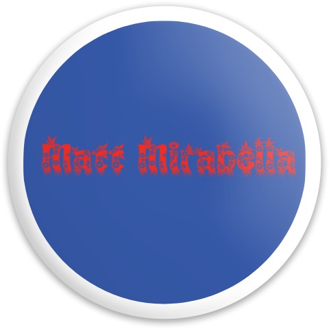Design 413100 Disc Golf and Ultimate Discs