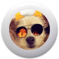 Doggo Bork Disc Golf and Ultimate Discs Image