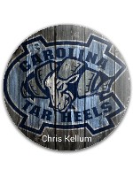 Design 41639 Disc Golf and Ultimate Discs Image