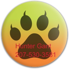 Design 418593