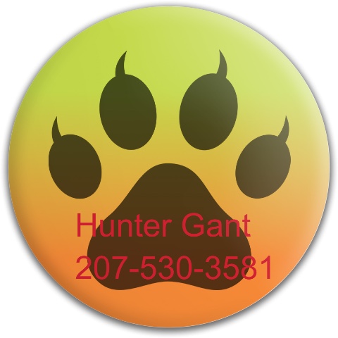 Design 418593 Disc Golf and Ultimate Discs