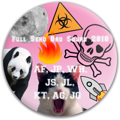 Design 419066 Disc Golf and Ultimate Discs
