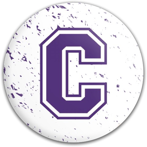 Design 419519 Disc Golf and Ultimate Discs
