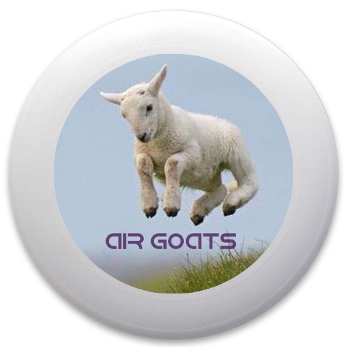 Design 420036 Disc Golf and Ultimate Discs