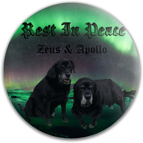 Design 420713 Disc Golf and Ultimate Discs
