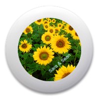 Design 420902