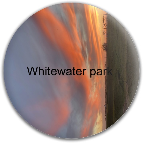 Design 421339 Disc Golf and Ultimate Discs