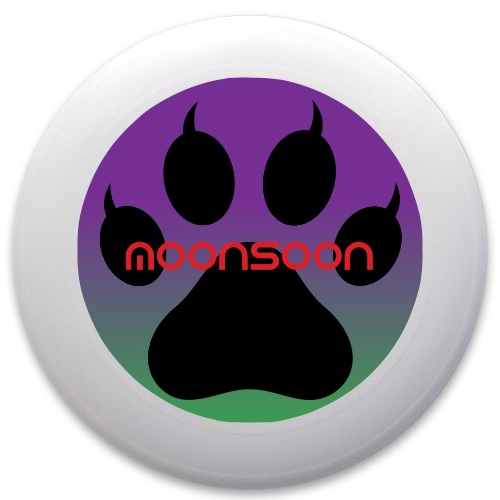 Design 422993 Disc Golf and Ultimate Discs