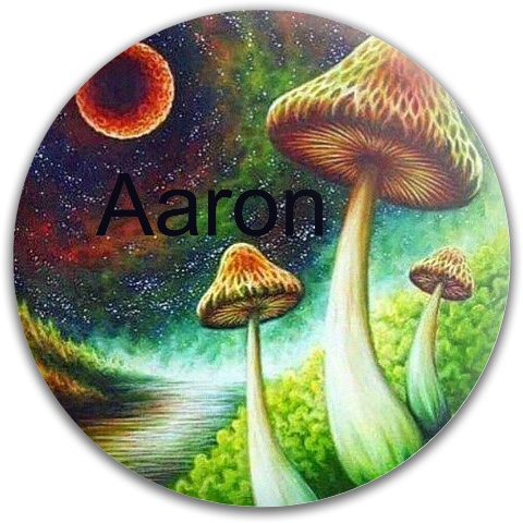 Design 424270 Disc Golf and Ultimate Discs