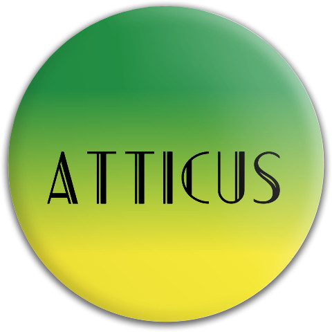 Design 425142 Disc Golf and Ultimate Discs
