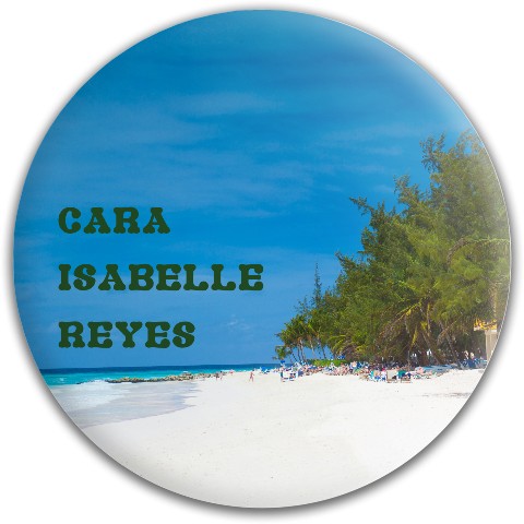 Design 425225 Disc Golf and Ultimate Discs