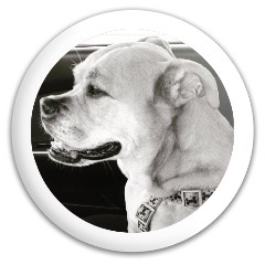 Design 427648 Disc Golf and Ultimate Discs Image