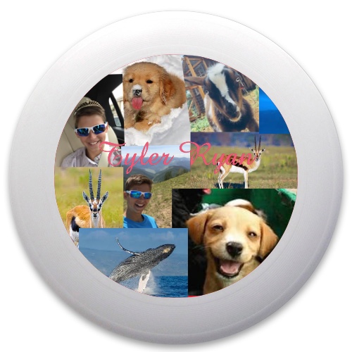 Design 429480 Disc Golf and Ultimate Discs