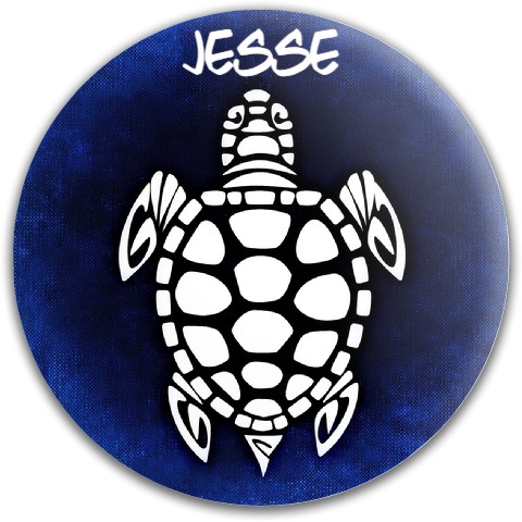 Design 429543 Disc Golf and Ultimate Discs