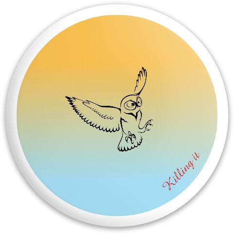 Design 430402 Disc Golf and Ultimate Discs