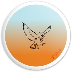 Design 430405