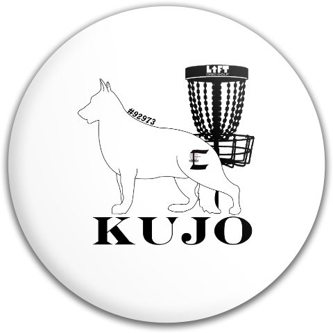 Design 432541 Disc Golf and Ultimate Discs