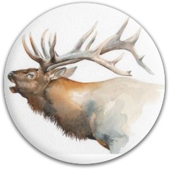 Design 435888 Disc Golf and Ultimate Discs Image