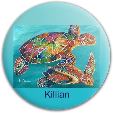 Design 437588 Disc Golf and Ultimate Discs