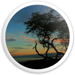 Kiholo Sunrise Disc Golf and Ultimate Discs Image