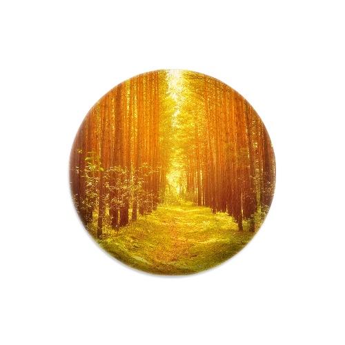 Design 444222 Disc Golf and Ultimate Discs