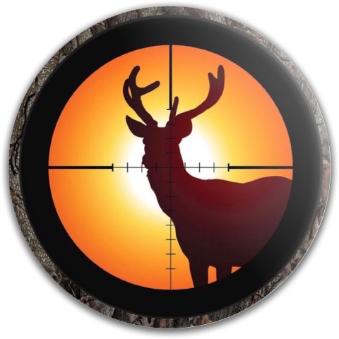 Design 445090 Disc Golf and Ultimate Discs