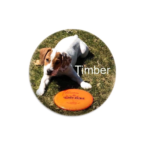 Design 445838 Disc Golf and Ultimate Discs
