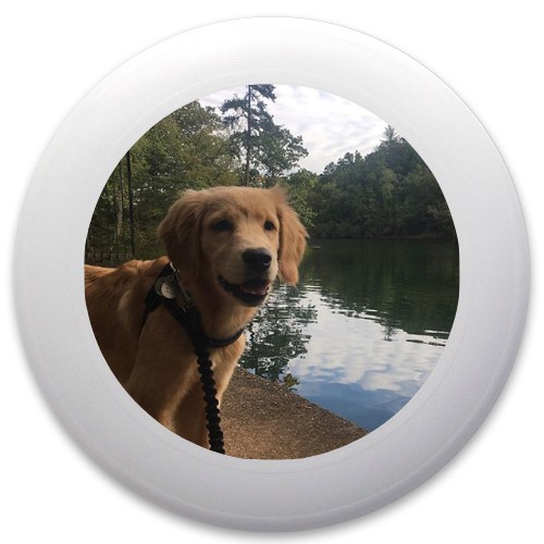 Design 447571 Disc Golf and Ultimate Discs