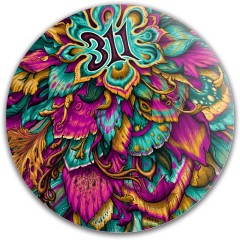 311