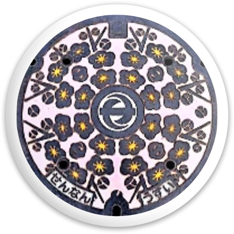 Design 452788 Disc Golf and Ultimate Discs
