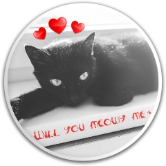 Meowy me