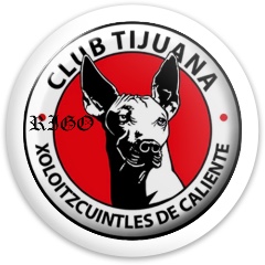 Design 455342