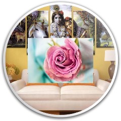 Design 456577