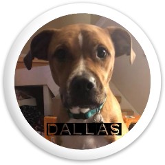 Dallas