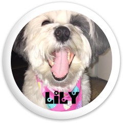 Lily