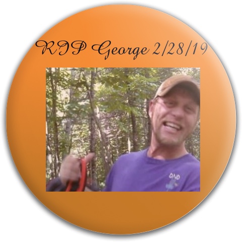 Design 460763 Disc Golf and Ultimate Discs