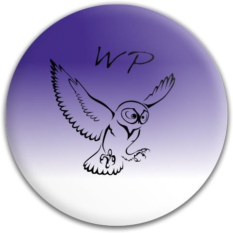 Design 462024 Disc Golf and Ultimate Discs