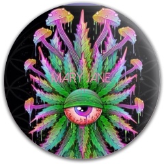 Mary Jane 2