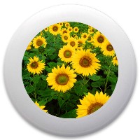 Design 469185