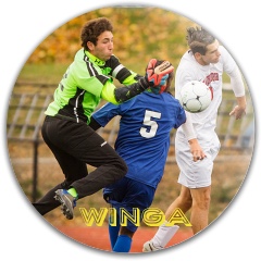 2k15 soccer Disc Golf and Ultimate Discs Image