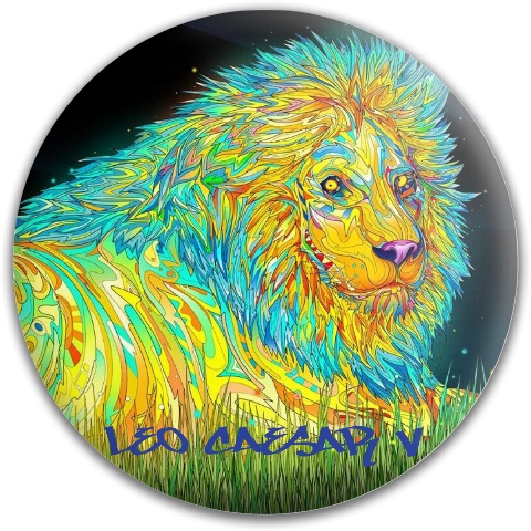 Design 477288 Disc Golf and Ultimate Discs